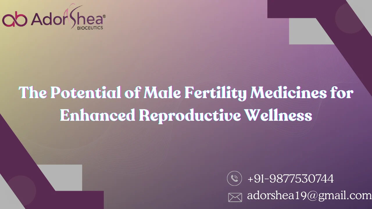 The Potential of Male Fertility Medicines for Enhanced Reproductive Wellness